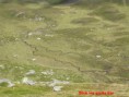 /album/fotogalerie-sommer/koralpe-s-2004-033-jpg/